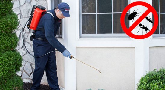 Vezirköprü Karınca İlaçlama böcek ilaçlama ve haşere kontrolü — ilaclama-tr.com